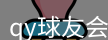 qy球友会
